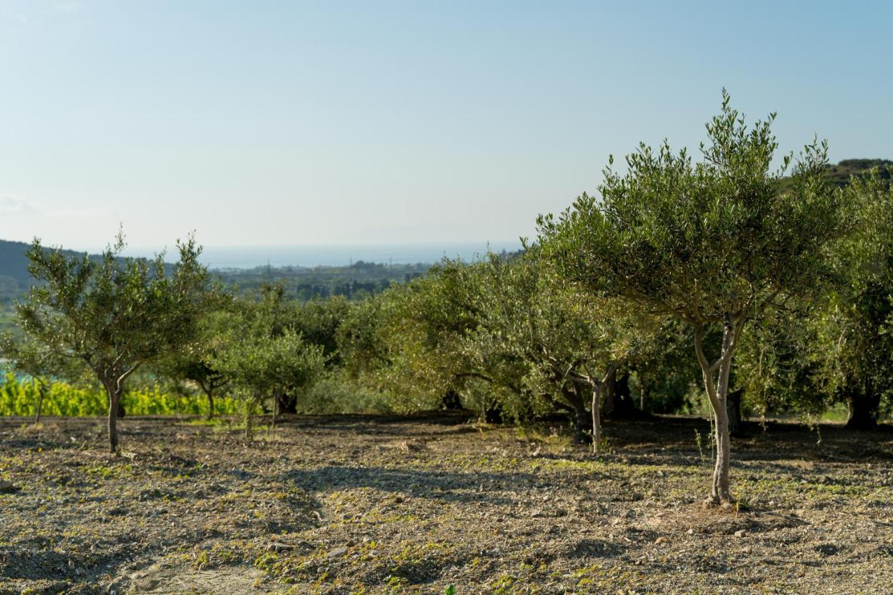 Chalet Tenuta Lacco Furnari Dış mekan fotoğraf